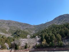 -北京十三陵国家森林公园蟒山景区