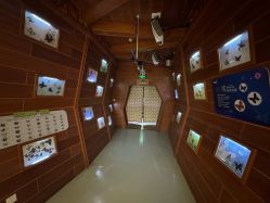 -酷嗒动物文化乐园(cutezoo西溪乐天城店)