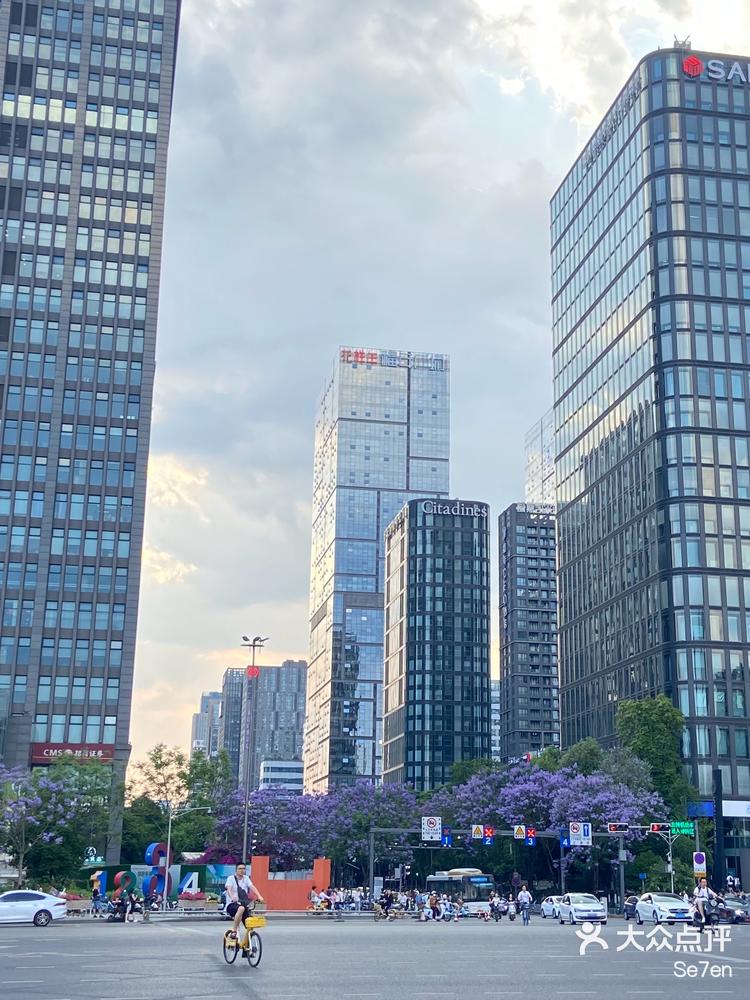 天府三街蓝花楹正盛!-大众点评