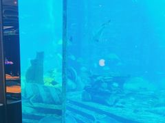 -亚特兰蒂斯•OSSIANO奥西亚诺海底餐厅