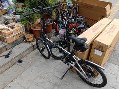 -道路口单车爱瓦士dahon大行