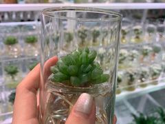 -KKV(深圳宏发大仟里店)