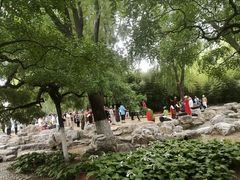 -莲花池公园