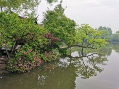 -西湖外事游船(花港观鱼码头)