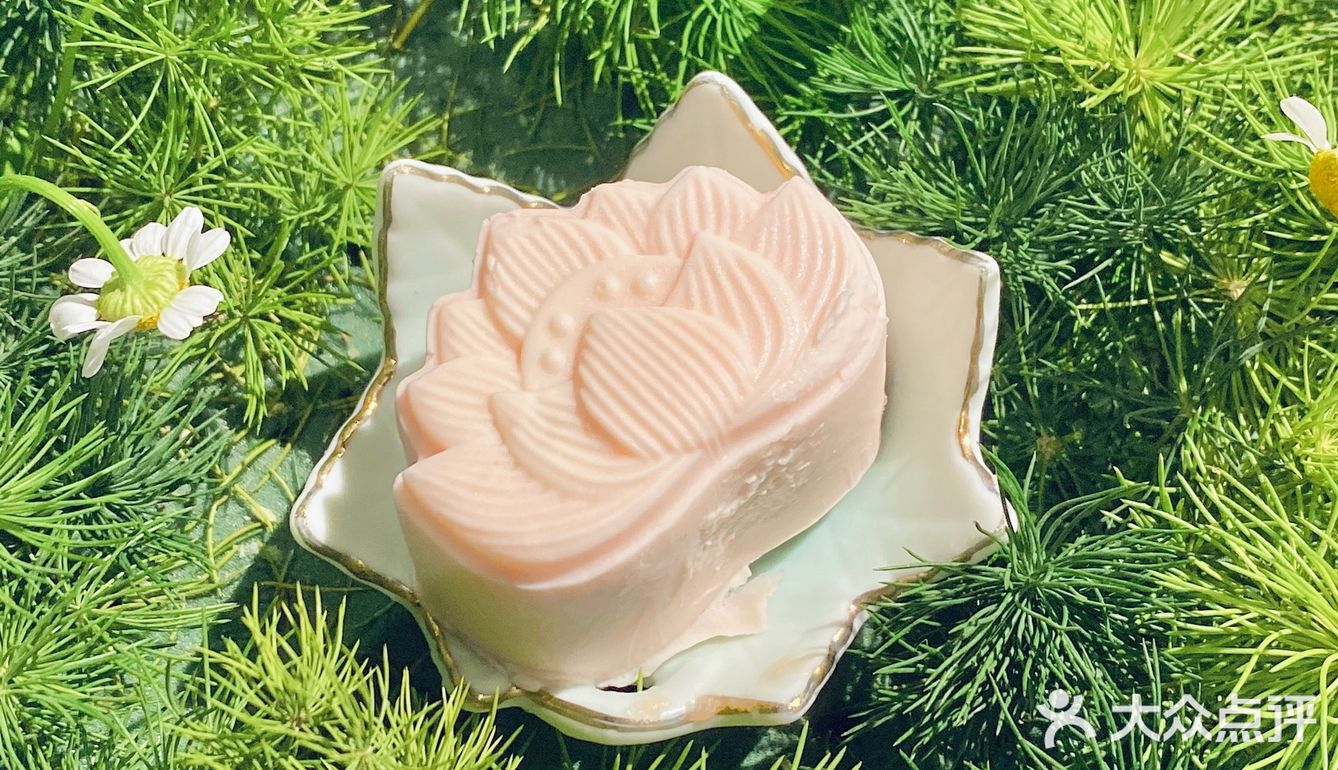 变身爱丽丝🧚‍♀️喝一次绿野仙踪的下午茶