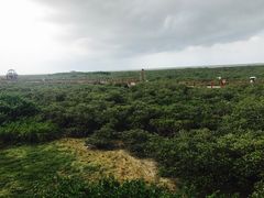 -北海金海湾红树林生态旅游区