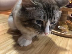 -白兔子密室(长寿路店)