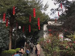 -乌山风景区