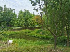 -长兴岛郊野公园农场食堂