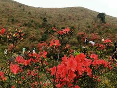 -广东天露山旅游度假区