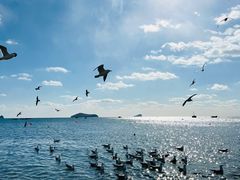 -银沙滩浴场