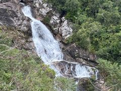 -海南热带雨林国家公园吊罗山景区