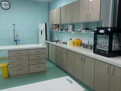 -北京观赏动物医院·24小时大型综合·猫专科·异宠专科