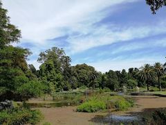 -墨尔本皇家植物园