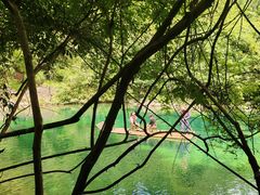-石台牯牛降景区