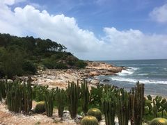 -广东惠东海龟国家级自然保护区