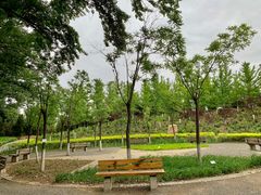 -翠湖国家城市湿地公园