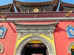 -塔尔寺菩提树