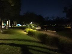 -羊山湖公园
