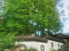 -上海醉白池公园