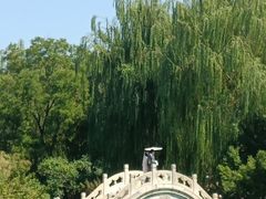 -莲池书院博物馆