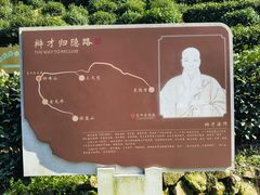 -十里琅珰