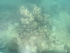 -亚龙湾海底世界