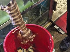 -富来美食(成发大厦店)