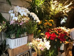 -春暖花开(西溪店)