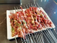 -邢氏老太太烤串(北兴街店)
