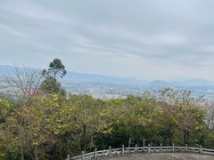 -麦当劳(从化从城大道店)