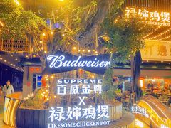 -禄婶鸡煲·打边炉