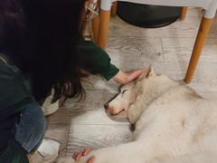 -小时光咖啡馆(北锣鼓巷店)