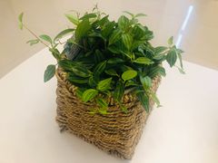 -鹿岛会员店 (龙湖三千集天街店)