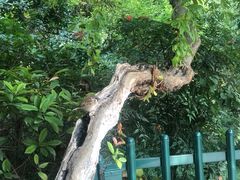 -莲湖公园