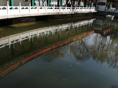 -西宁市人民公园(城西区)