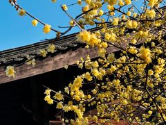 -钱王祠