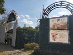 -金山农民画村-枫泾波兰倒置屋