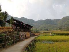 -楠溪江风景名胜区