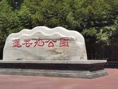 -莲花池公园