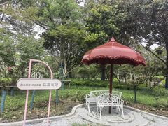 -上海鲜花港