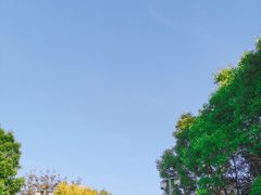 -金海湾滨江公园