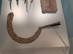 -盘龙城国家考古遗址公园