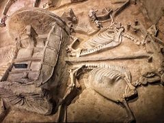 -洛阳周王城天子驾六博物馆