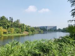 -东岳体育公园