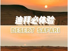 -迪拜沙漠冲沙