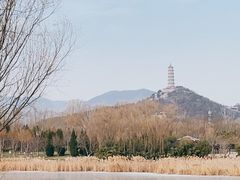 -北坞公园