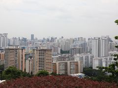 -花柏山公园