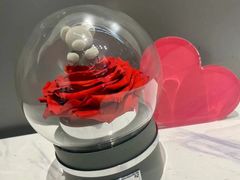 -ROSEONLY诺誓(青岛万象城店)