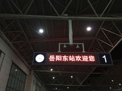 -岳阳东站
